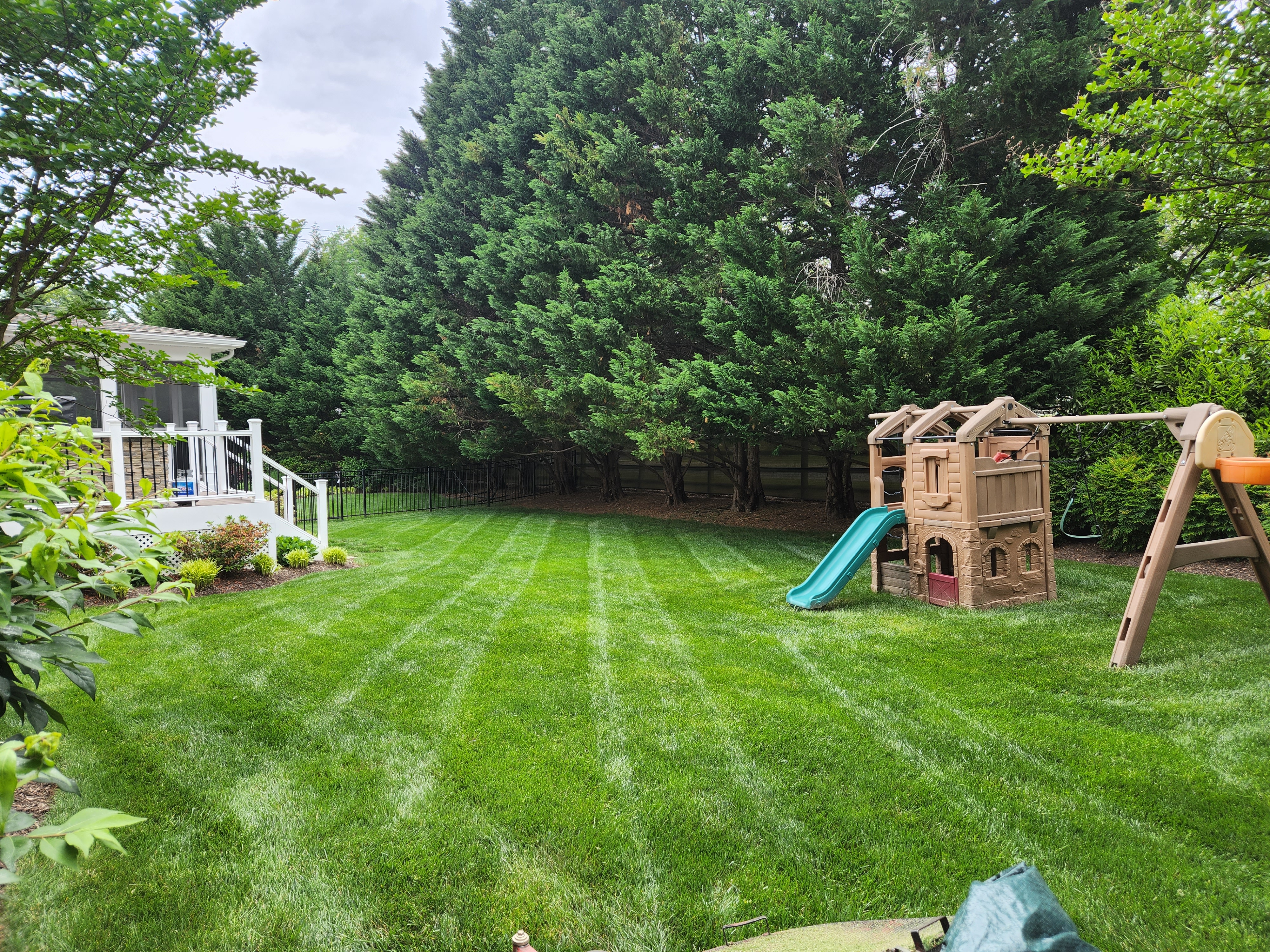 Lawn Maintenance